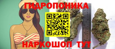 кокс Волгодонск