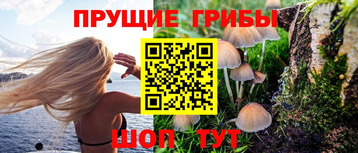 купить наркоту  Вход с VPN  Галлюциногенные грибы GOLDEN TEACHER  Протвино  Галлюциногенные грибы Magic Shrooms 